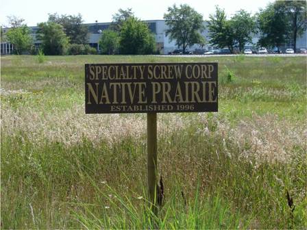Native Prairie at Specialty Screw Corporation